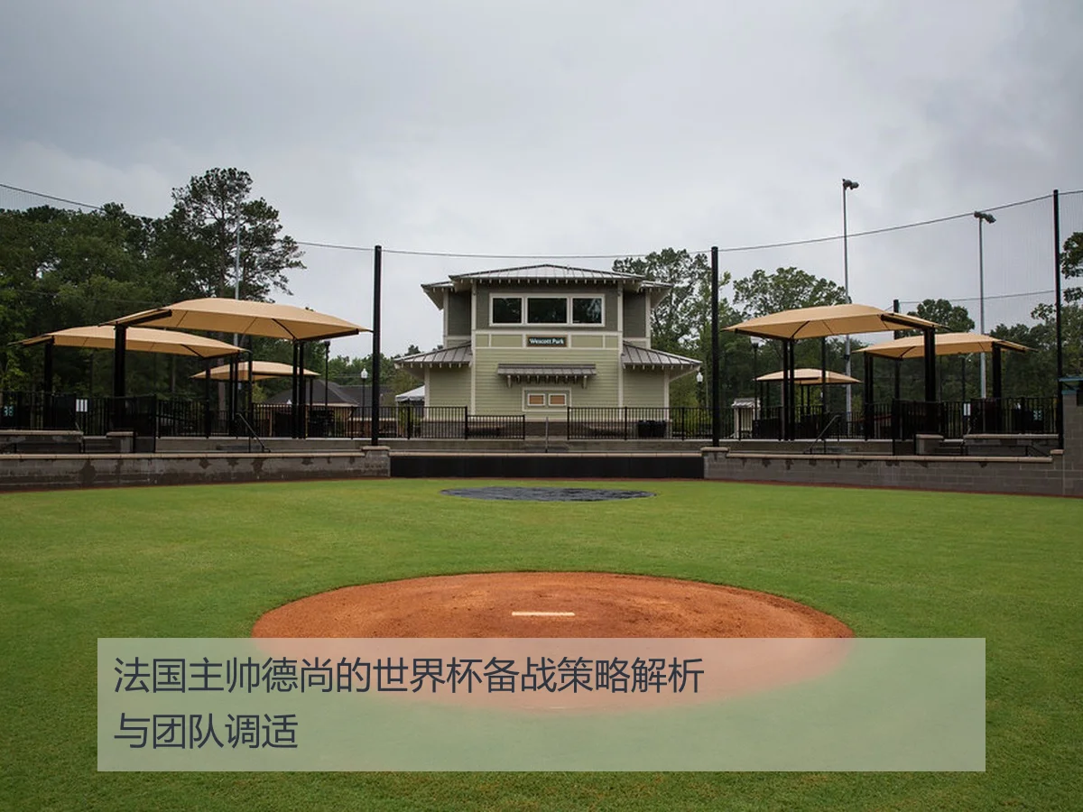 法国主帅德尚的世界杯备战策略解析与团队调适