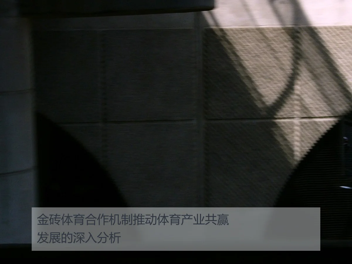 金砖体育合作机制推动体育产业共赢发展的深入分析